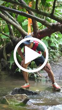 BIB:  <button type="button" onclick="openModal(27505299)" class="btn btn-primary btn-sm float-right" data-toggle="modal" data-target=".modal-high-quality">
                <i class="fa fa-download"></i> Download
                </button>